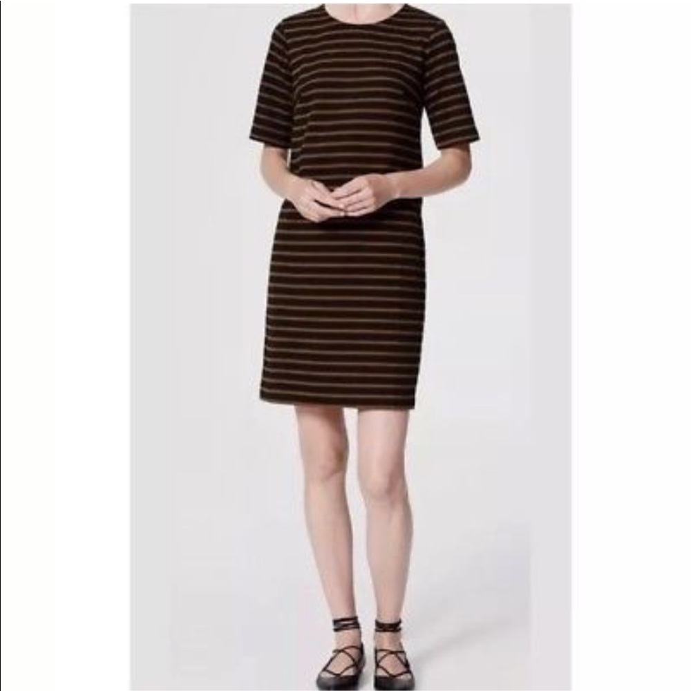 💚Ann Taylor Loft shift dress.  NWOT